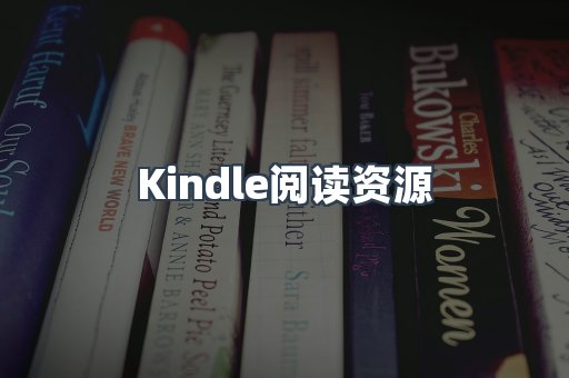 外文电子书系列